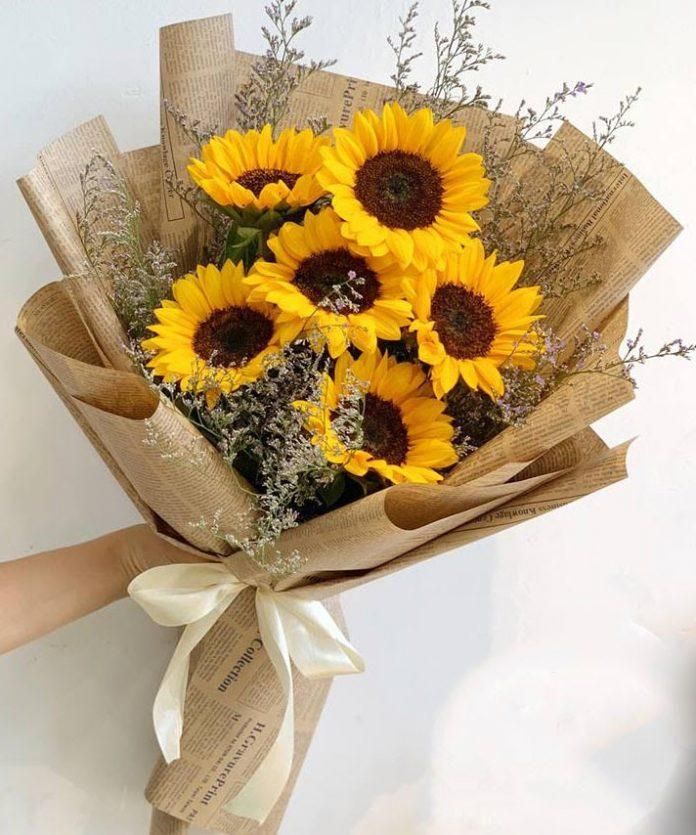 Bright Scholar Sunflower